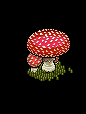 Amanita